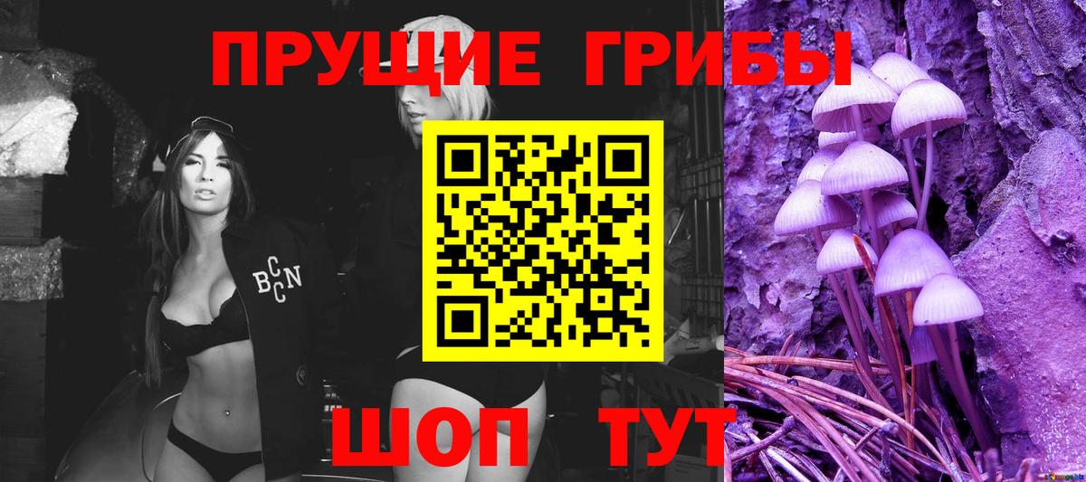 Псилоцибиновые грибы GOLDEN TEACHER Бахчисарай