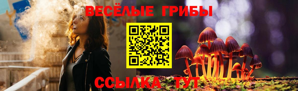 наркотики  Псилоцибиновые грибы мухоморы  Вход с VPN  Бахчисарай  Псилоцибиновые грибы Cubensis 